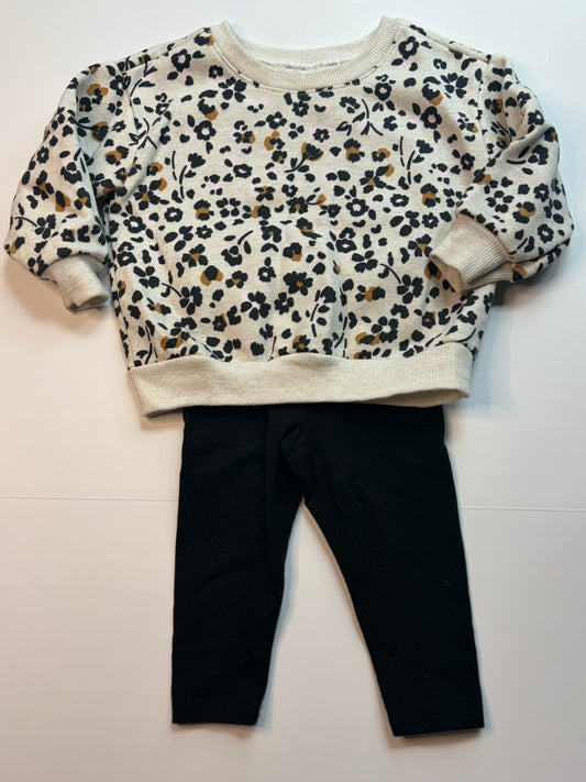 Garanimals Outfit Set - 12m