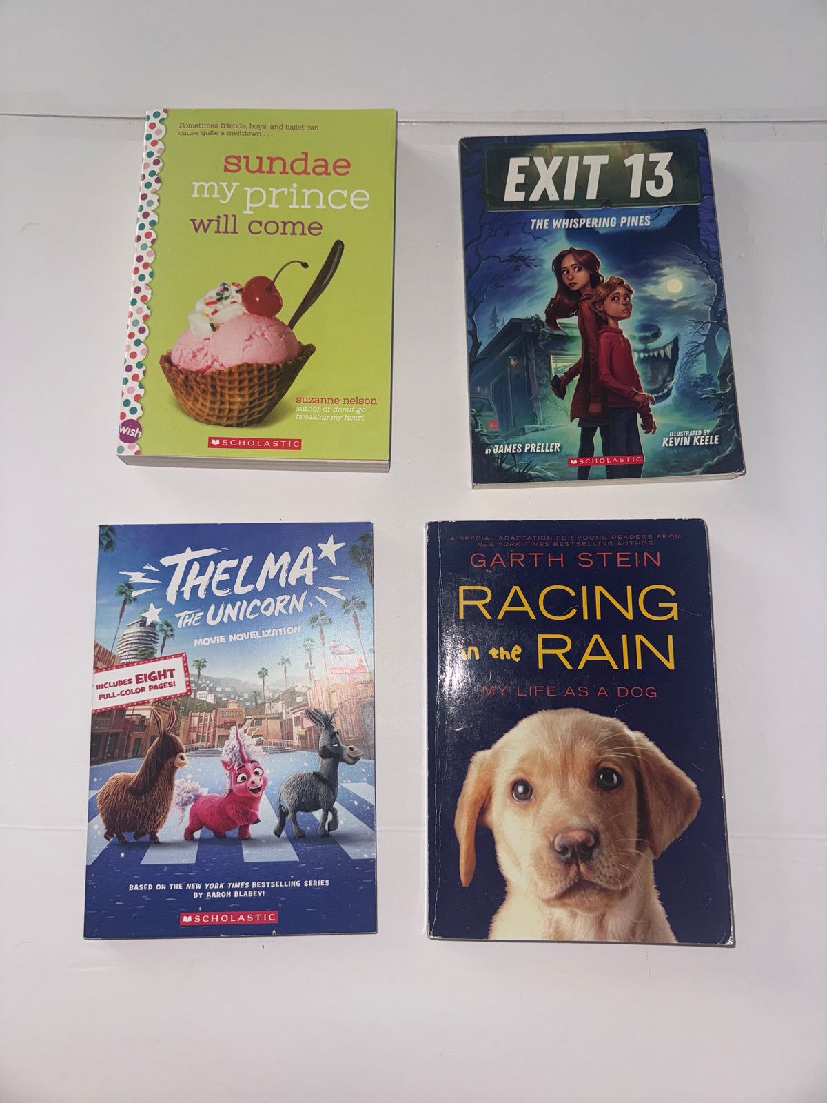 Set of 4 Chapter Books