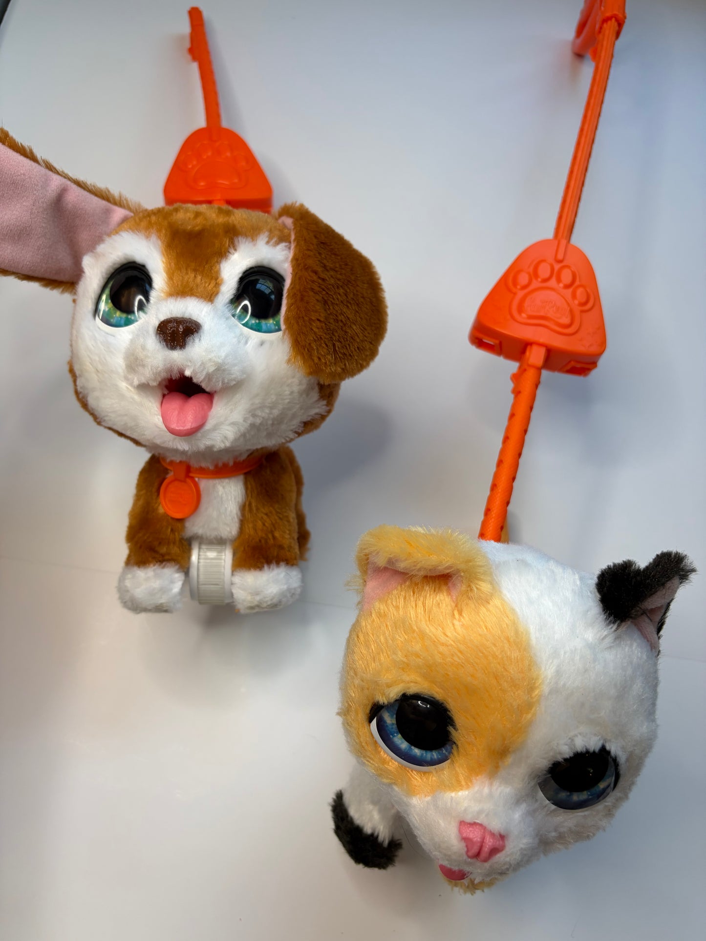 Pets Alive Puppy & Cat