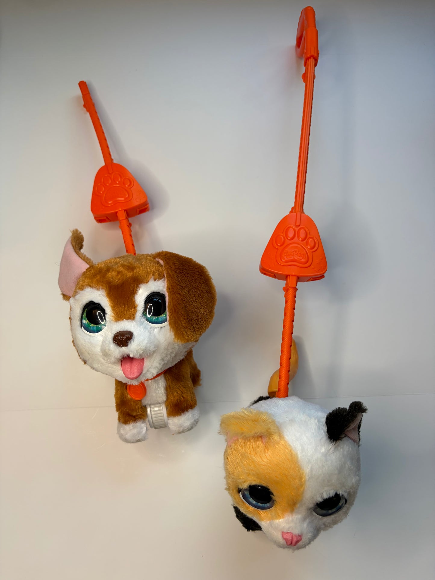 Pets Alive Puppy & Cat